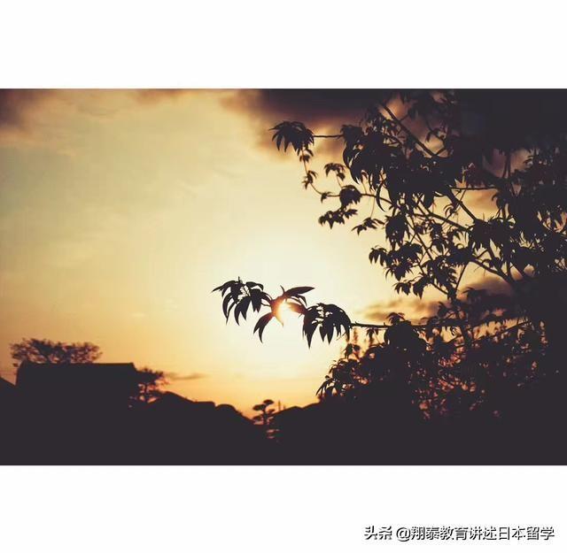 出国留学的好处和坏处是什么,出国留学的利与弊以及与国内现状对比(图1)