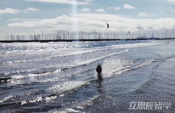 澳洲留学办卡需要什么多久,一文讲清澳洲留学签证办理时长(图1)