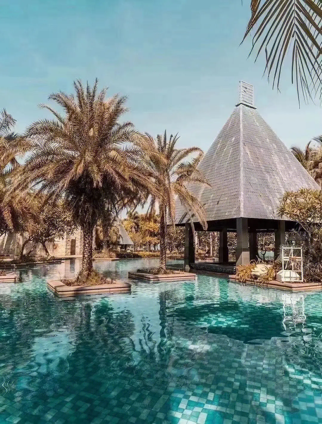 留学算应届毕业生吗可以考公嘛,留学生也适用的关于应届生身份分析(图6)