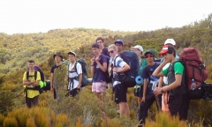 新西兰大专留学两年后怎么办，新西兰留学政策解读及优势分析