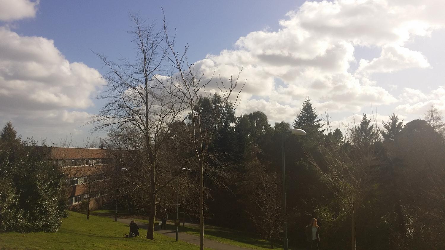 牙医留学去哪个国家好毕业吗,英国留学读牙科专业的大学推荐(图1)