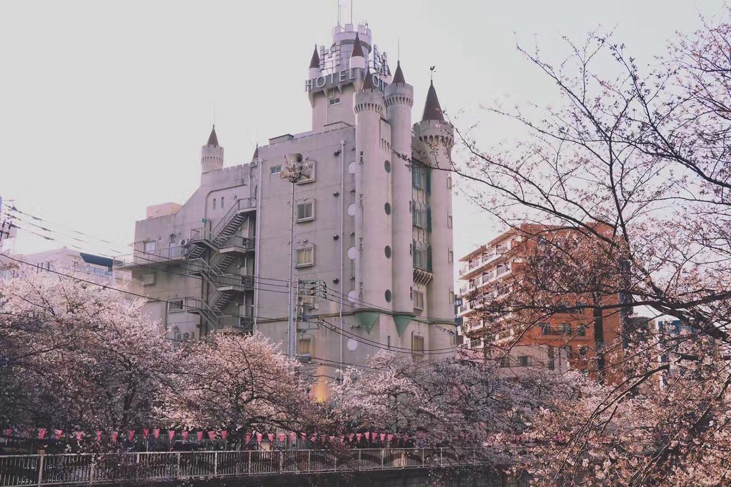 日本研究生留学专业不同可以申请吗有哪些,跨专业申请日本留学的最强指南(图1)