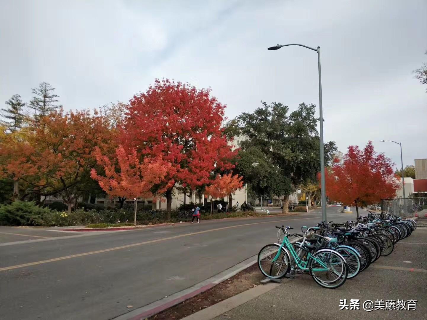 美国留学可以带什么药有限制吗,赴美留学必看的史上最全的行李清单(图2)
