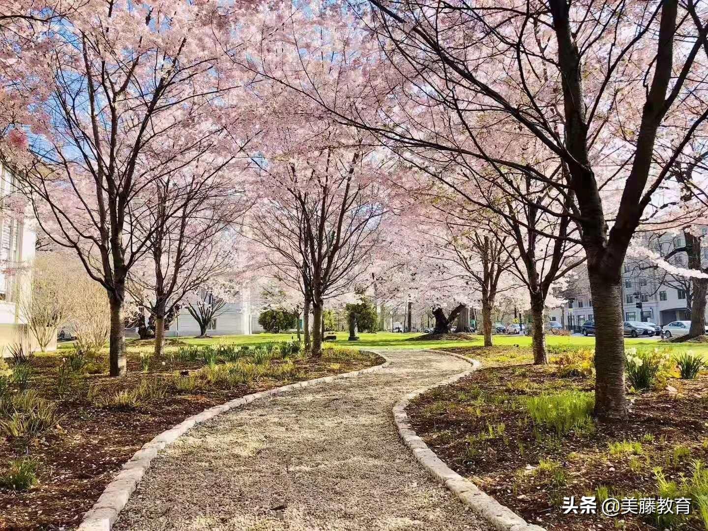 美国留学的留学条件是什么有哪些,申请美国留学的条件一文帮你搞清(图2)