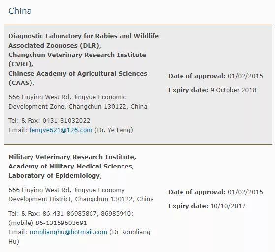 出国留学能带狗吗怎么办,出国必看的宠物出国最详细的攻略(图4)