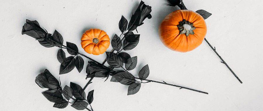 日本研究生留学专业有哪些不同可以申请吗,日本留学跨专业申请研究生最强指南(图1)