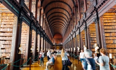 新西兰留学西厨专业好吗怎么样，新西兰留学的优势专业大盘点