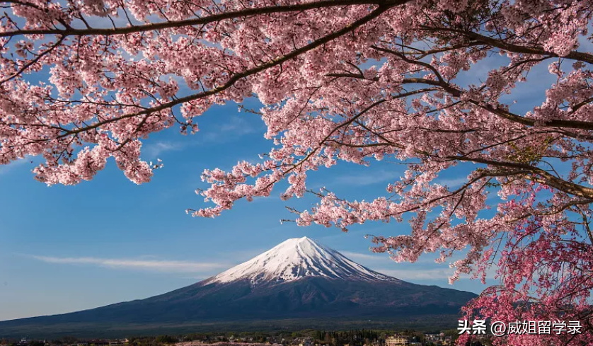 日本留学怎样付学费怎么交贵不贵,日本留学读研一年费用大揭秘(图5)