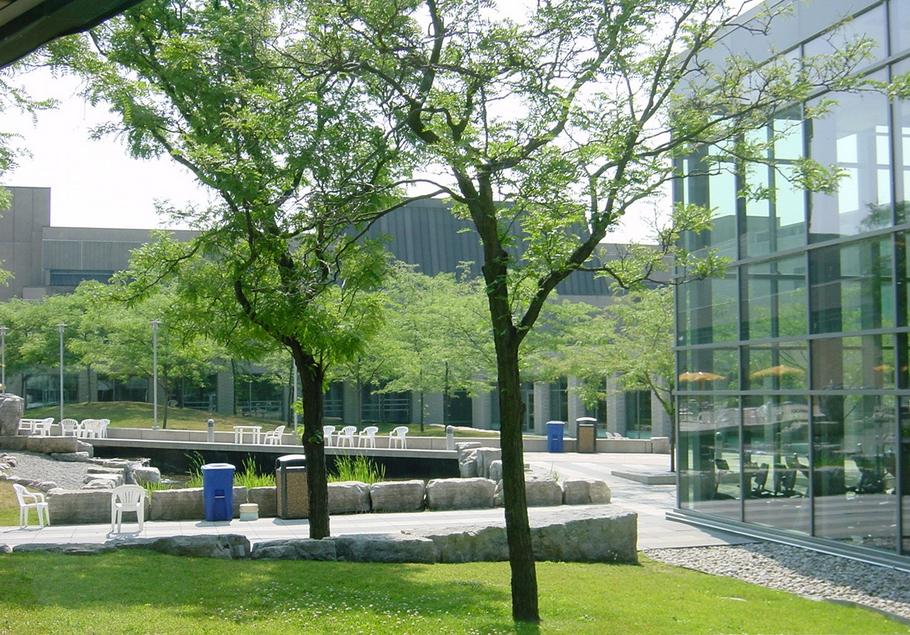 加拿大留学语言证明怎么开要多少钱,全网最实用的加拿大留学签证办理指南(图2)