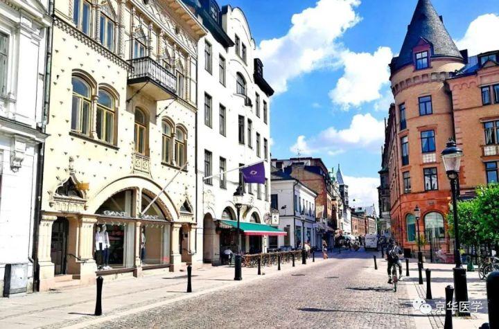 医学留学瑞典读博士要多少钱怎么样好吗,收藏!欧洲医学博士申请指南(图1)