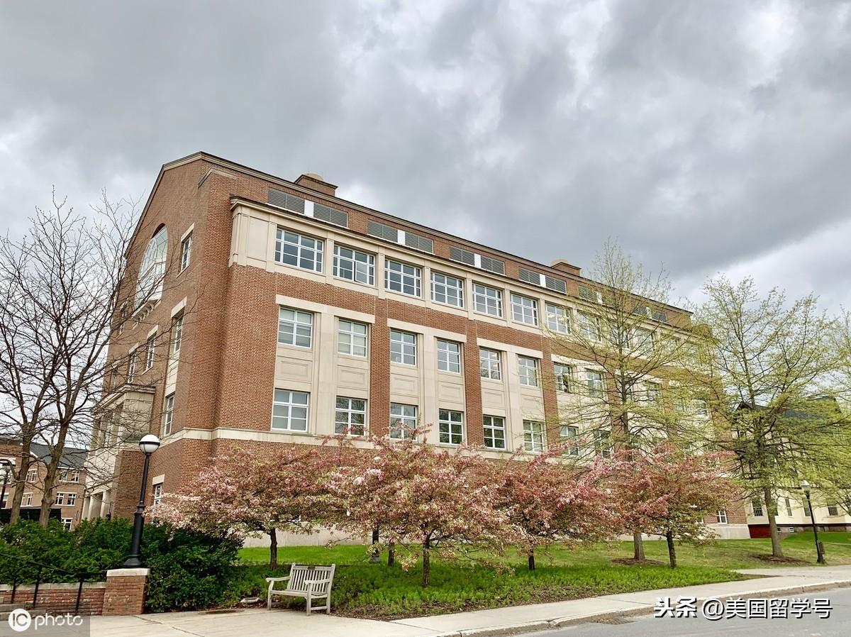 毕业后留学申请需要哪些材料拿什么学历,留学申请要提交的材料汇总(图1)