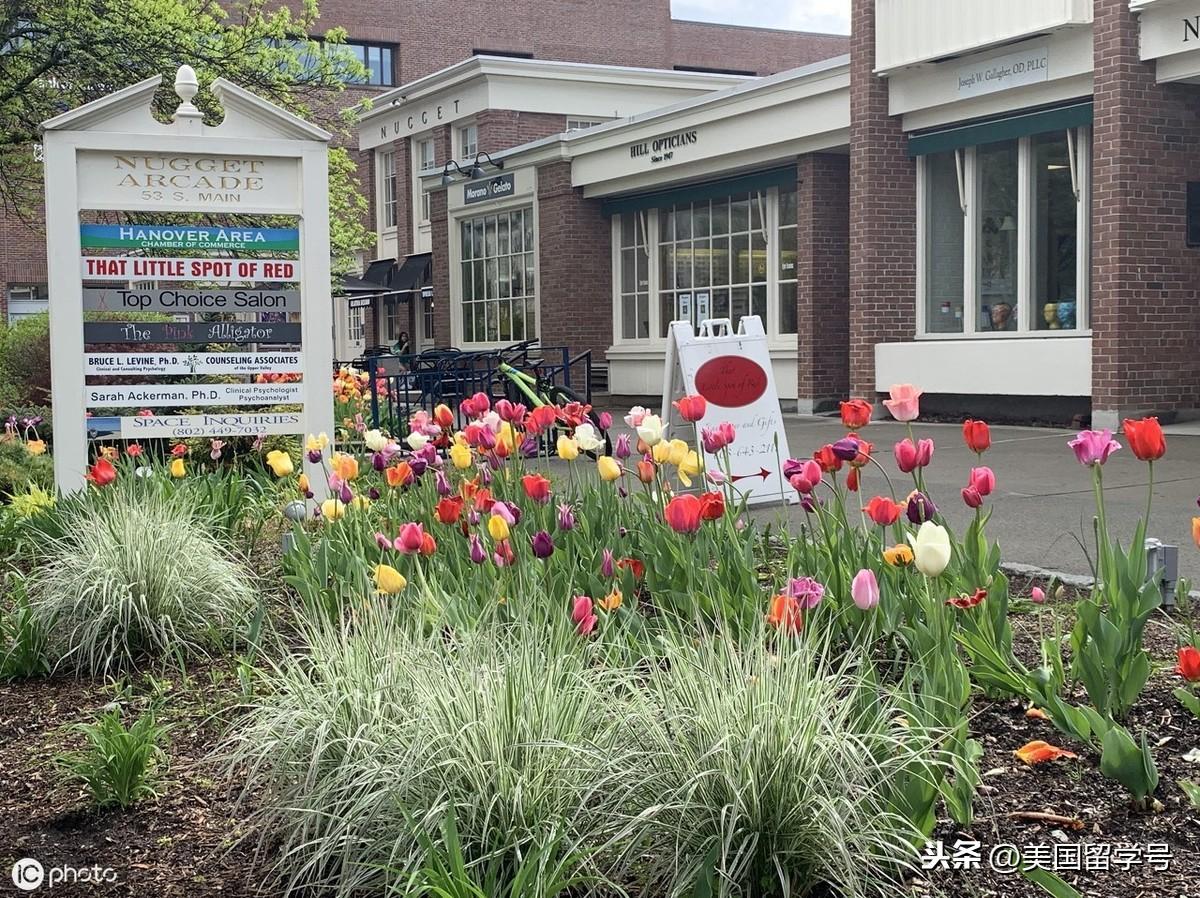 毕业后留学申请需要哪些材料拿什么学历,留学申请要提交的材料汇总(图3)