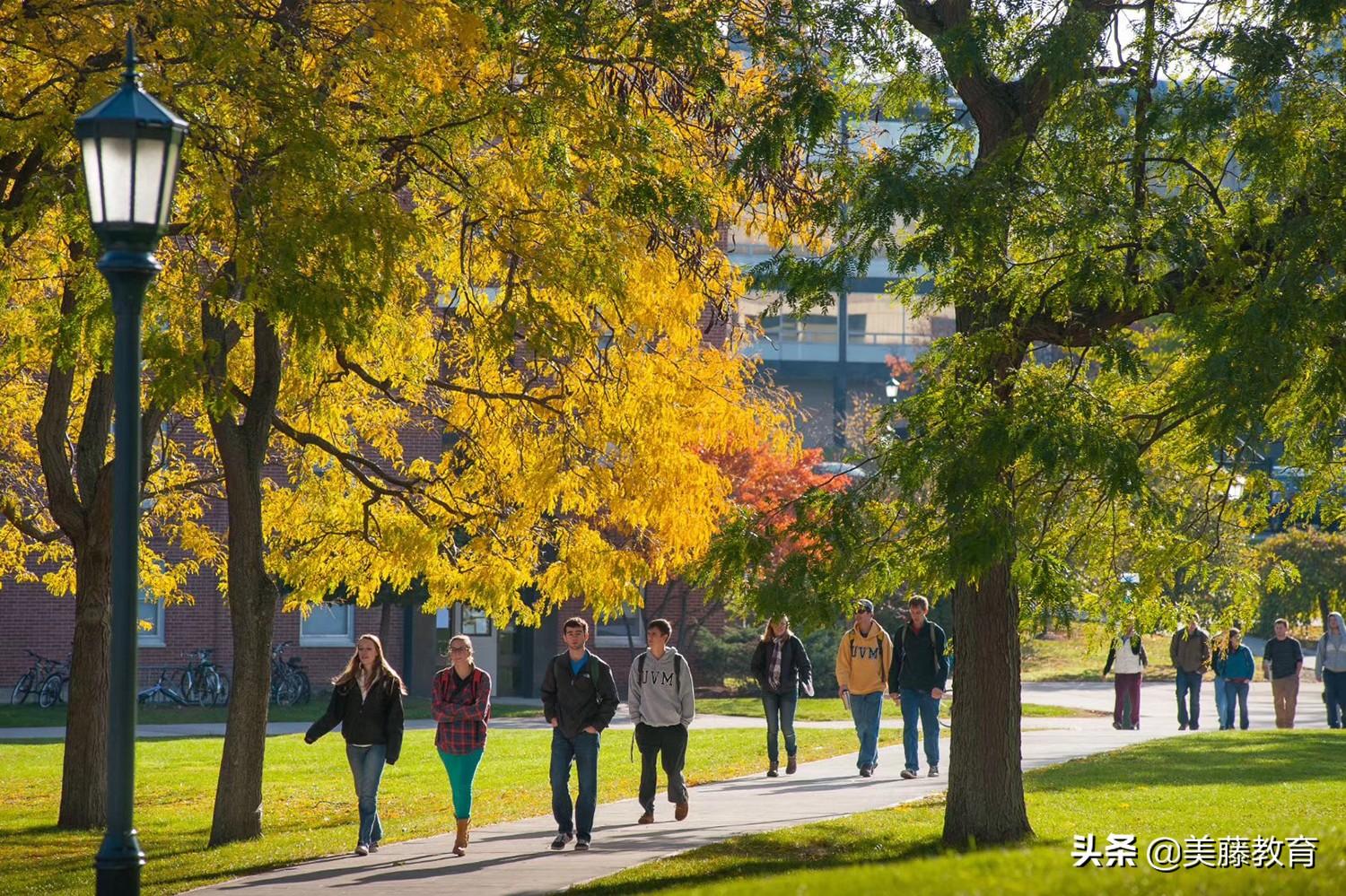 美国留学签证会问什么问题,不看后悔的美国留学签证面试会问的问题(图1)