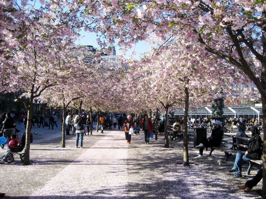 初中毕业想去韩国留学哪个学校收,一分钟教你申请性价比超群的韩国学校(图1)