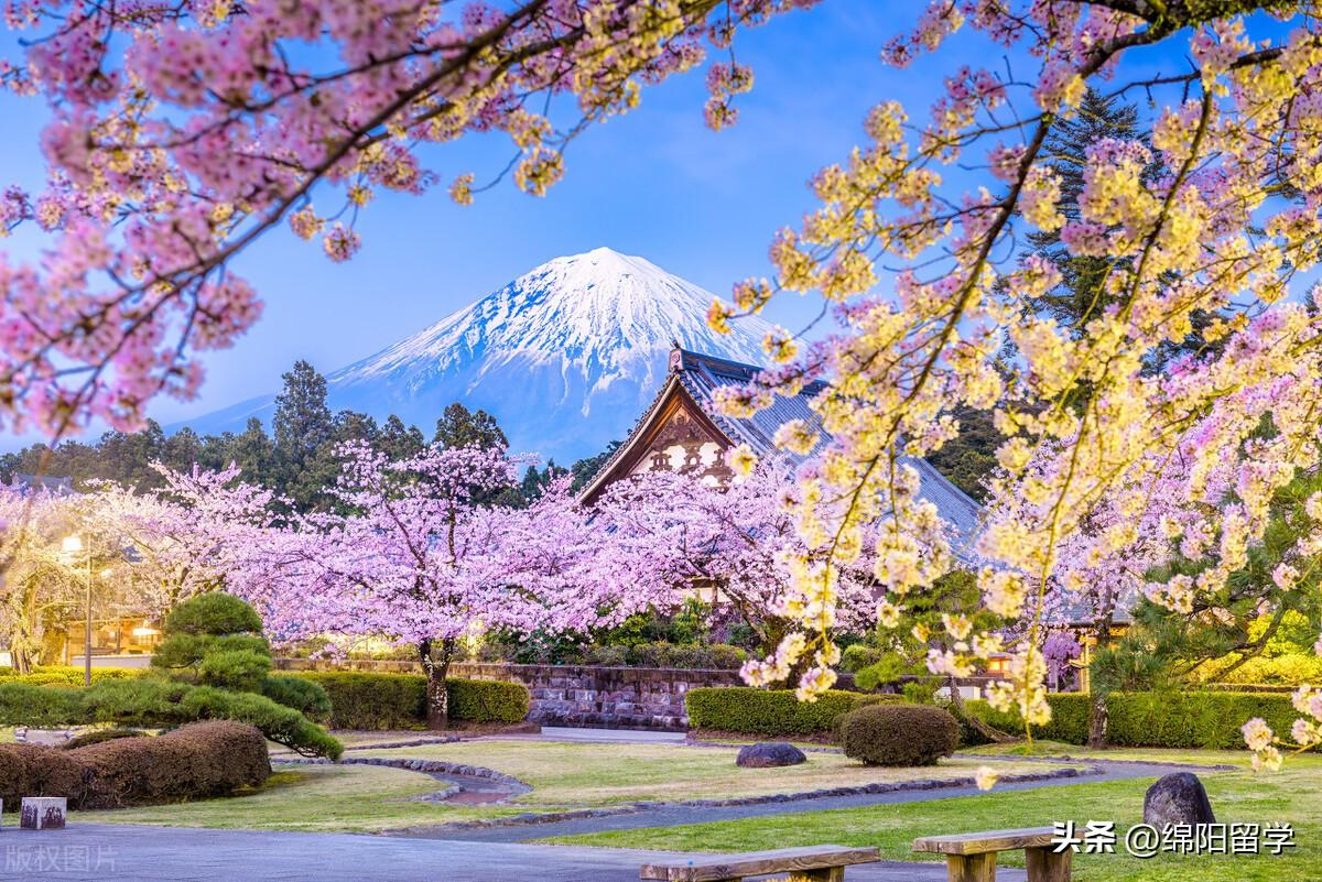 去日本留学的条件有哪些需要多少费用,一次性讲清楚日本留学一年的花费(图1)