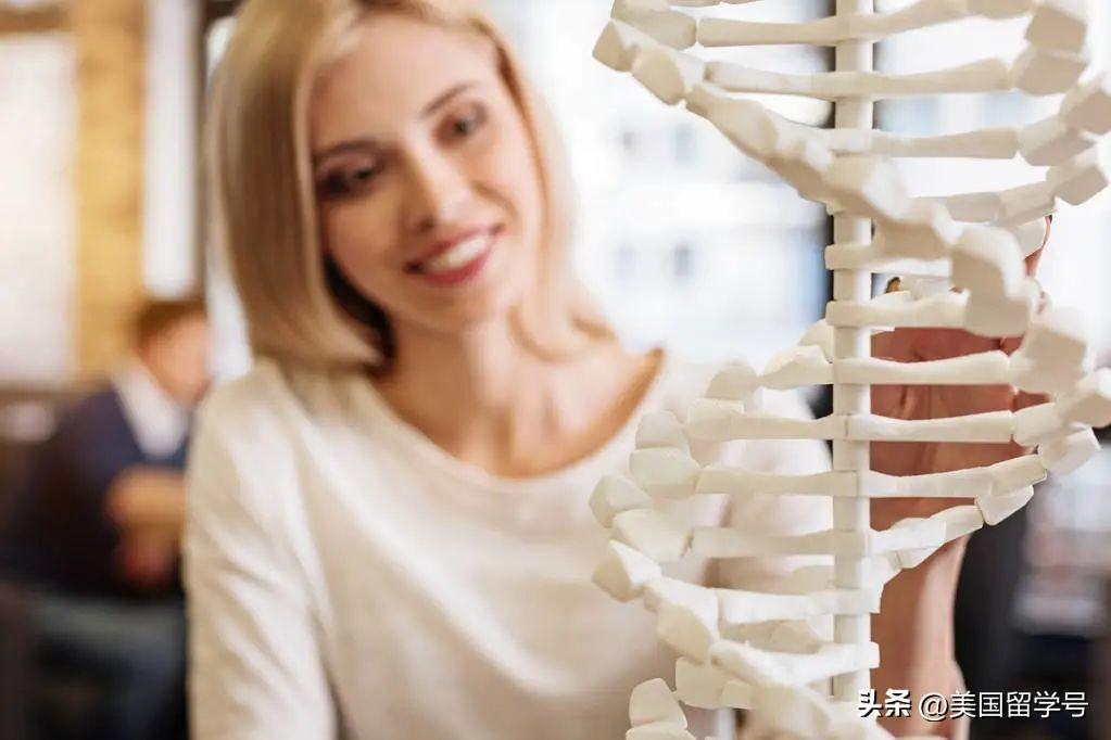 生物工程专业留学去哪儿比较好哪个国家认可吗,美国大学生物工程专业申请详细介绍(图8)