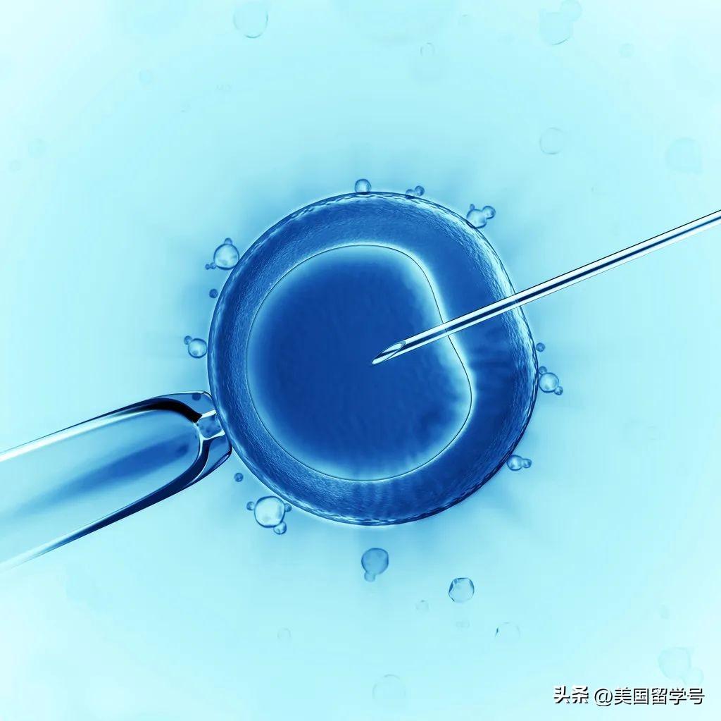 生物工程专业留学去哪儿比较好哪个国家认可吗,美国大学生物工程专业申请详细介绍(图7)