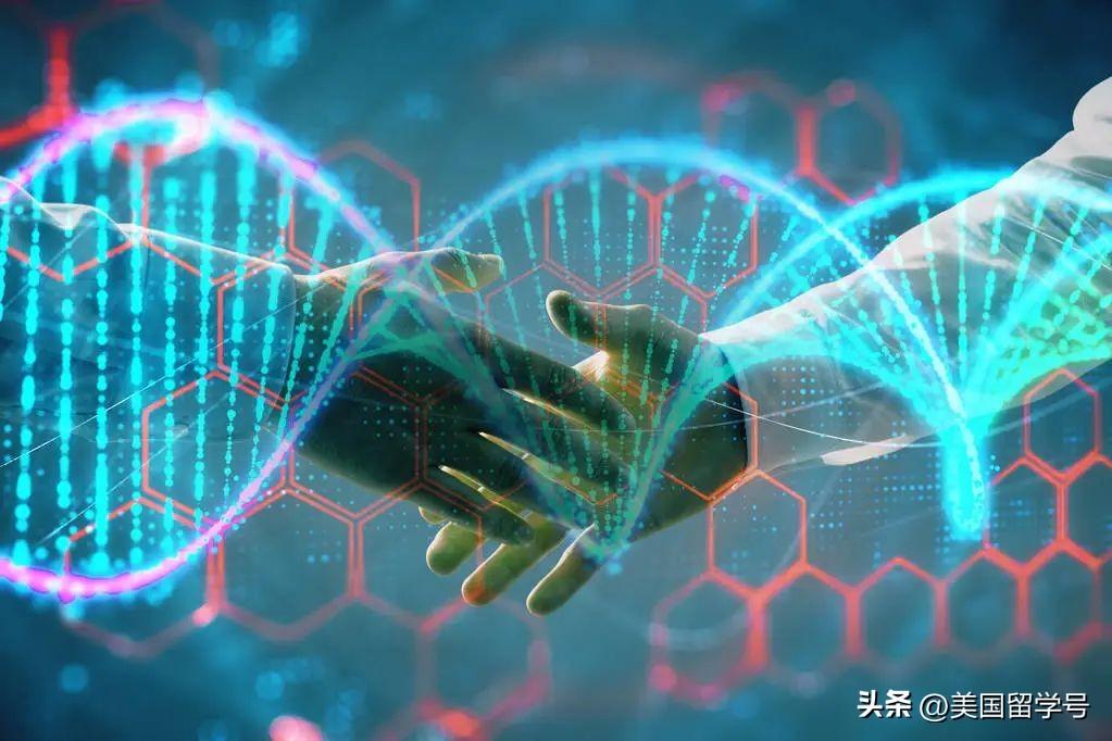 生物工程专业留学去哪儿比较好哪个国家认可吗,美国大学生物工程专业申请详细介绍(图2)