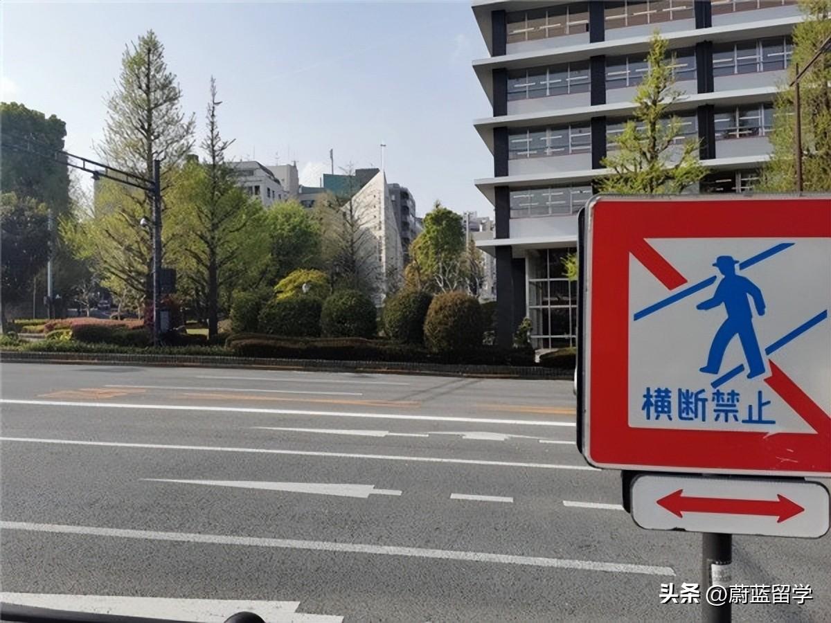 日本留学药学专业如何,日本药学专业的介绍与院校推荐(图2)