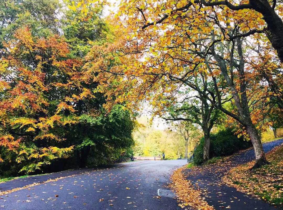 英国留学生毕业时间怎么算以什么为准,英国大学的毕业时间介绍(图1)