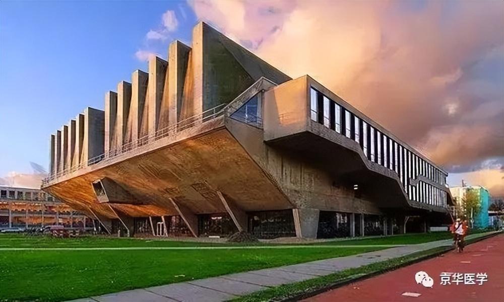 荷兰医学怎么样大学有哪些哪个最好,荷兰医学留学优势及申请规划分享(图6)