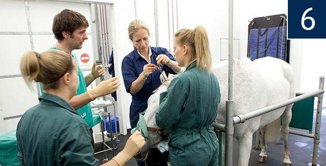 格洛斯特大学留学条件怎么样好吗,国际生学费最便宜的十所英国大学(图11)