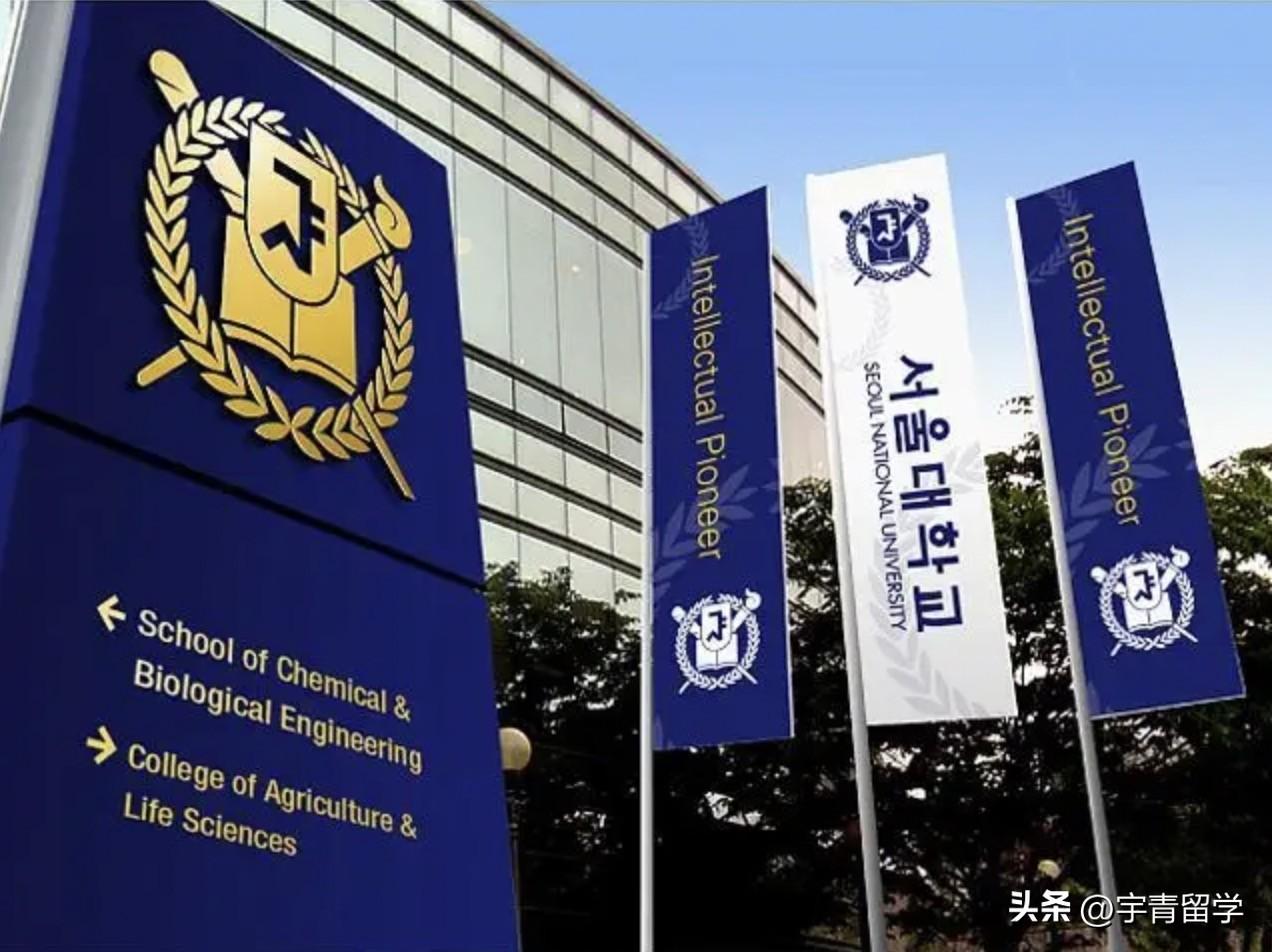 大专毕业怎么申请去韩国读本科需要什么条件,最适合大专生升本的韩国留学方案(图1)