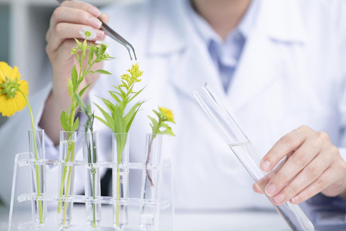 国外的好学校留学怎么样哪个专业好费用高吗,最吃香的留学热门专业和院校推荐(图7)