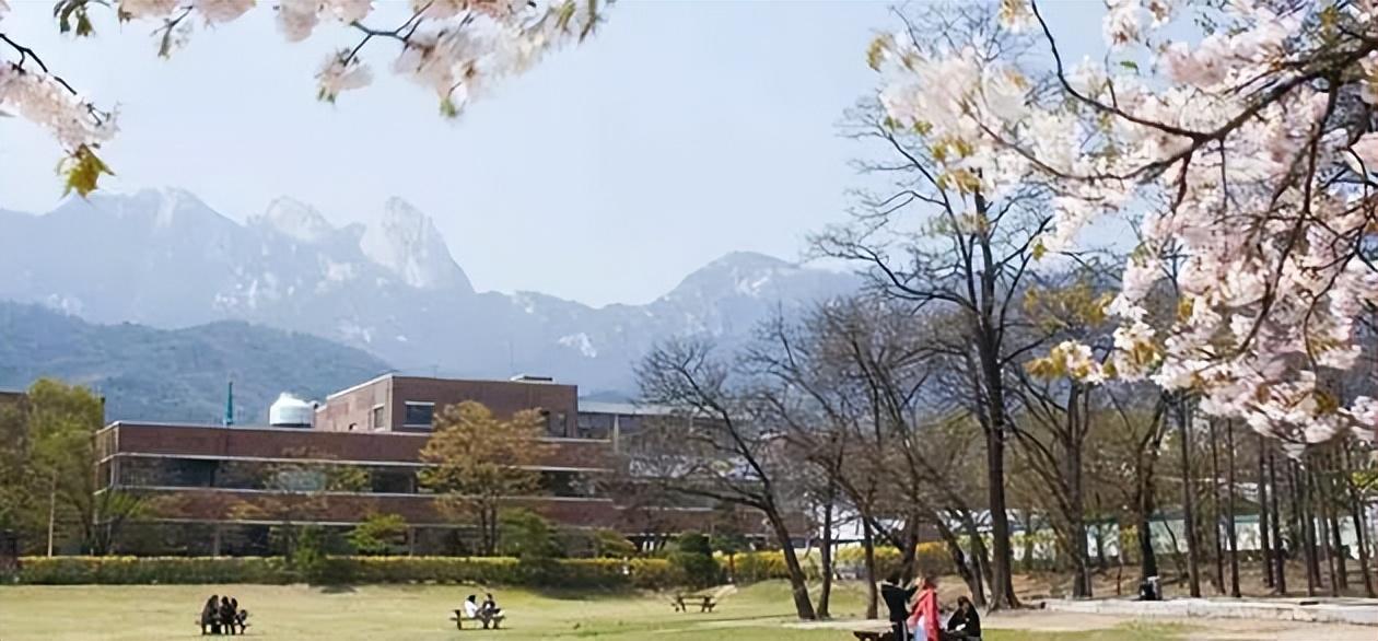 中文专业留学哪些国家好,韩国中文授课硕士不可错过的15所热门院校(图9)