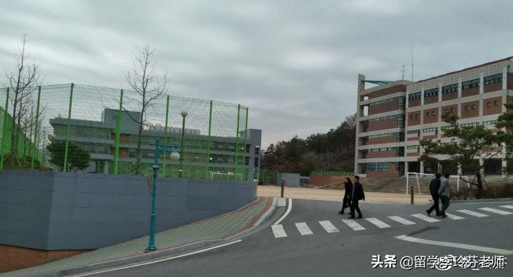 读国内大学和出国留学哪个好,国内大学VS国外留学各方面大对比(图2)