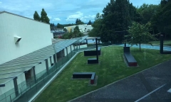 新西兰留学签证网申需要多久怎么办理，新西兰留学签证在线申请攻略