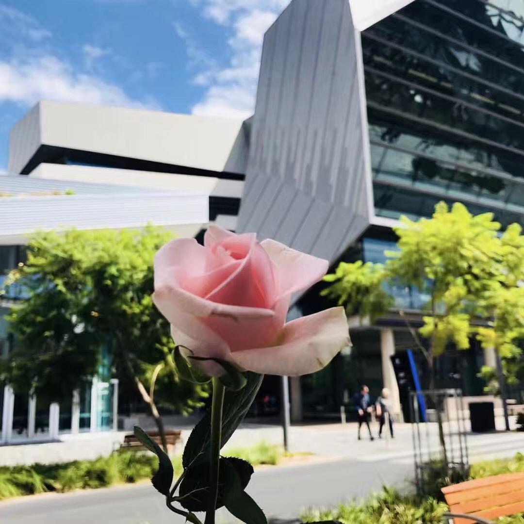 澳洲留学签证申请时间多久怎么办理,澳大利亚留学签证办理时间和申请流程(图1)