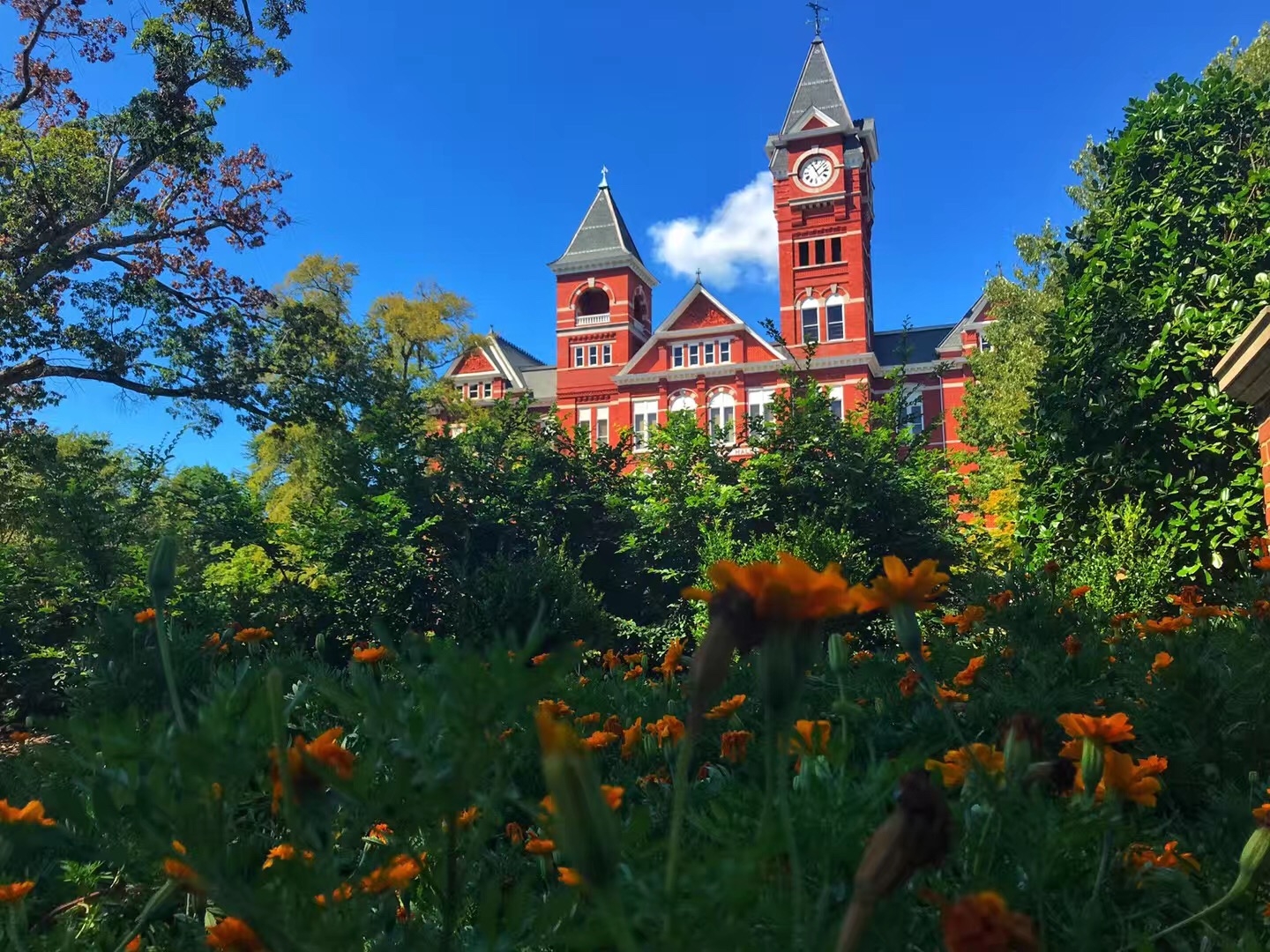 研究生留学gpa怎么算要多少,留学须知的GPA换算方法(图1)