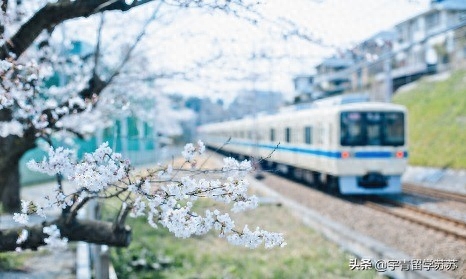 留学生的课程内容有哪些是什么怎么写,日本语言学校的三种课程介绍(图1)