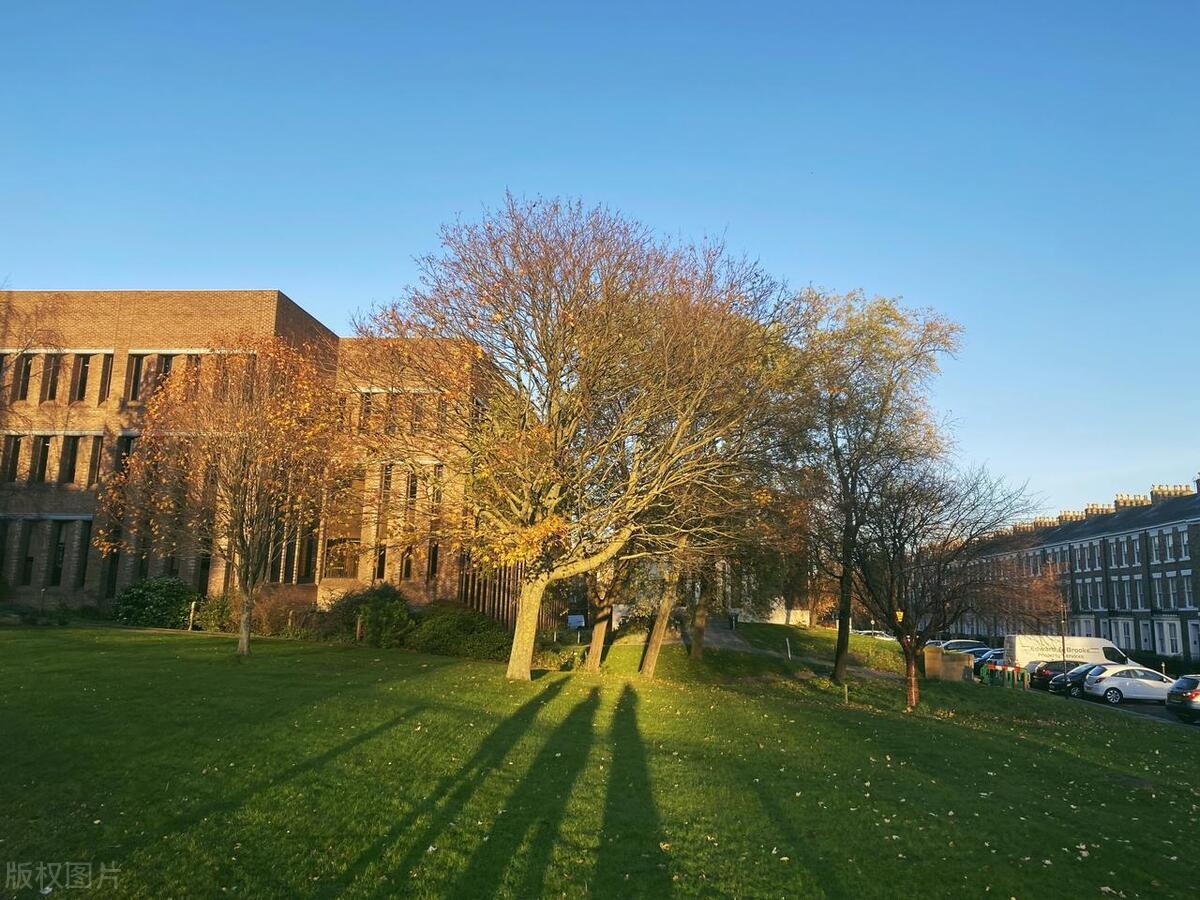 各国留学的优缺点有哪些,各热门国家的优劣势盘点(图2)