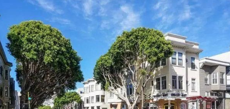 申请国外留学费用多少钱高吗,美国留学一年的花费开支盘点(图3)