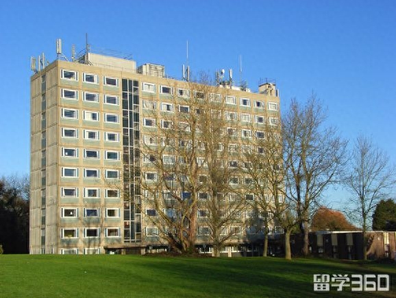 大学在读可以申请留学吗,本科在读期间申请出国留学的攻略(图1)