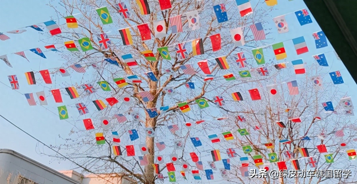 韩国留学的利与弊,客观公正地分析韩国留学的利与弊(图5)