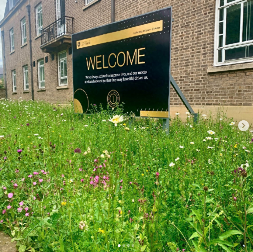 留学门槛比较低的地方是哪里,中国学生最容易保底的三所英国大学(图6)