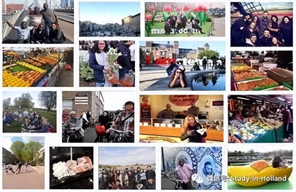 到荷兰留学什么专业最好,荷兰留学的4个王牌专业介绍和推荐院校(图6)