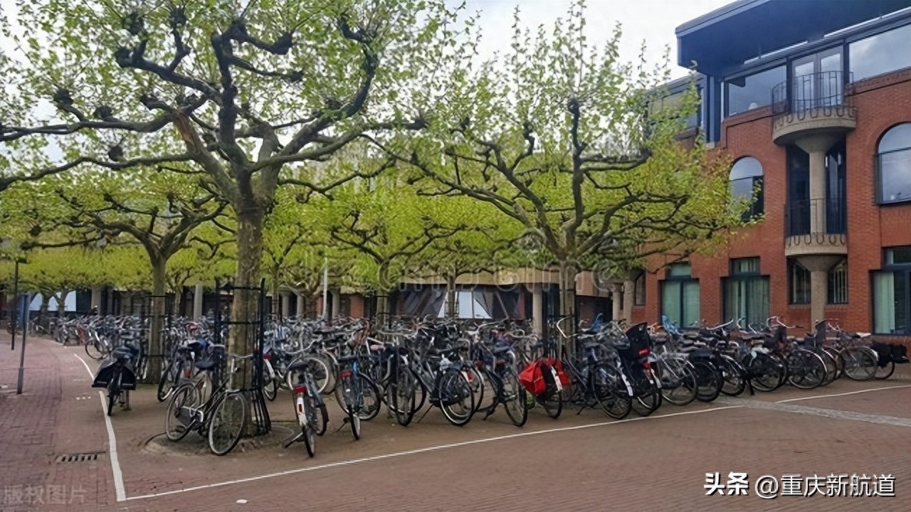 到荷兰留学什么专业最好,荷兰优质大学排名及相关专业推荐(图3)