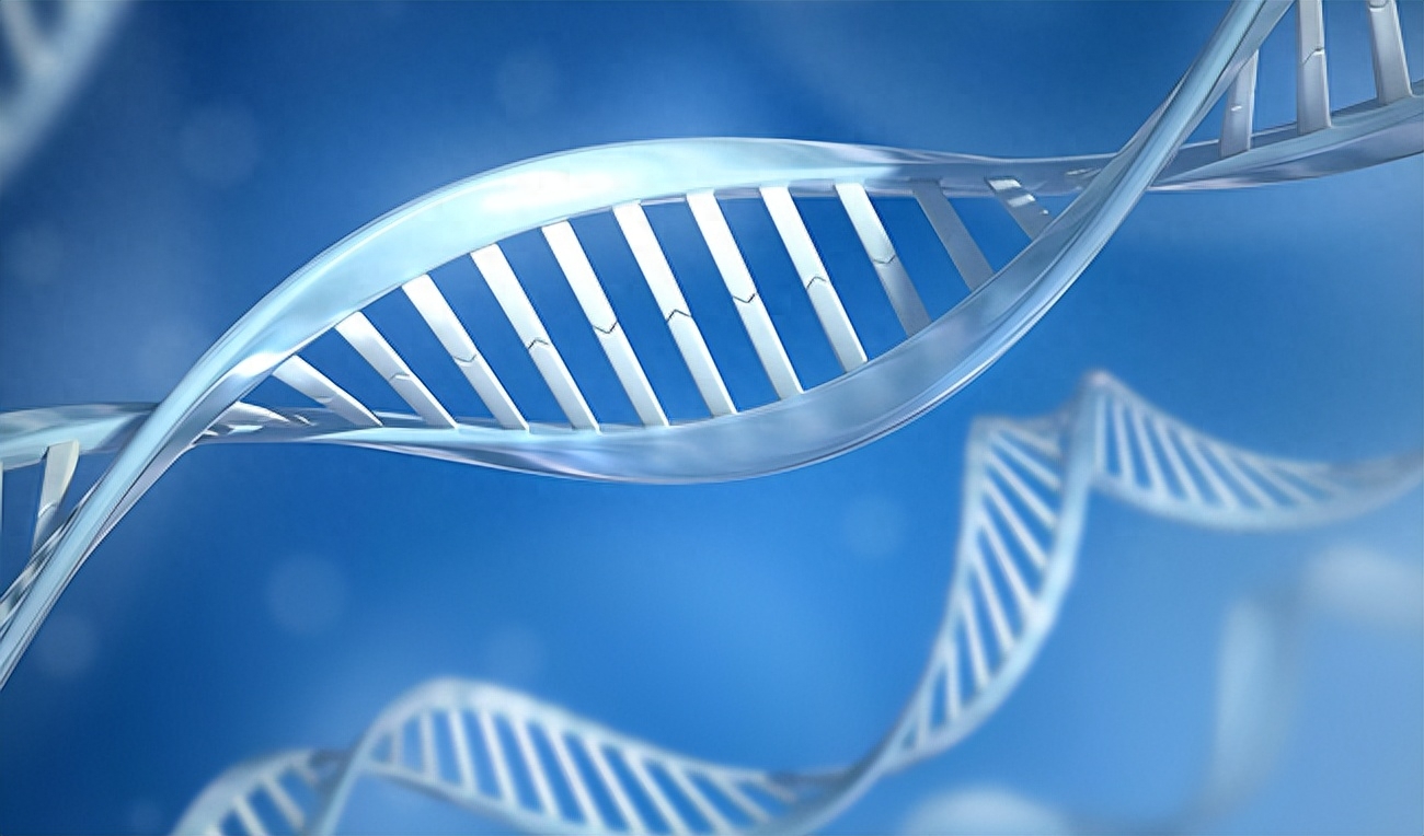 日本留学研究生专业有哪些,日本留学常见热门专业汇总(图6)