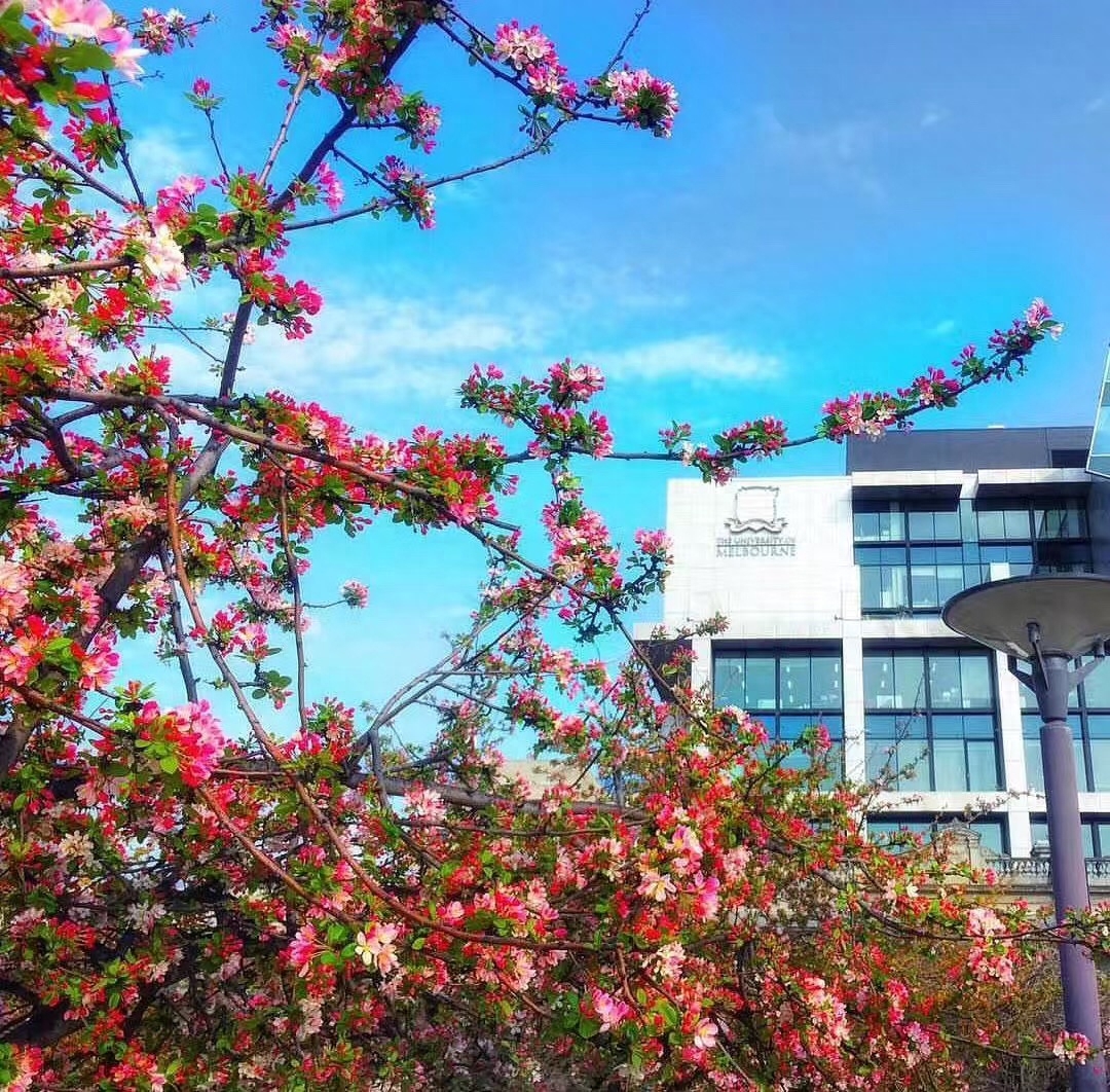 美国留学需要准备什么东西,美国留学的行前准备看这篇就够了(图1)