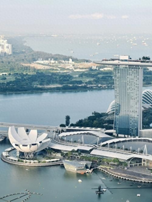 新加坡留学就业前景如何,揭秘最真实的新加坡本科的就业情况(图1)