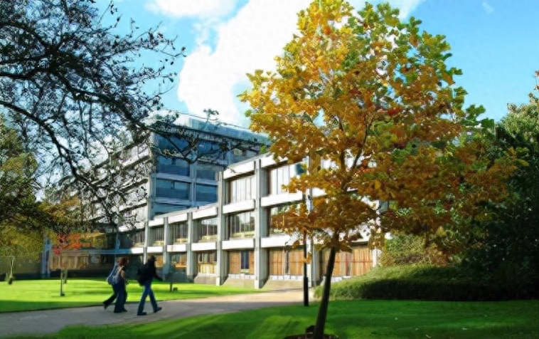 在职留学申请流程,在职人员申请出国留学的全流程和注意事项(图2)