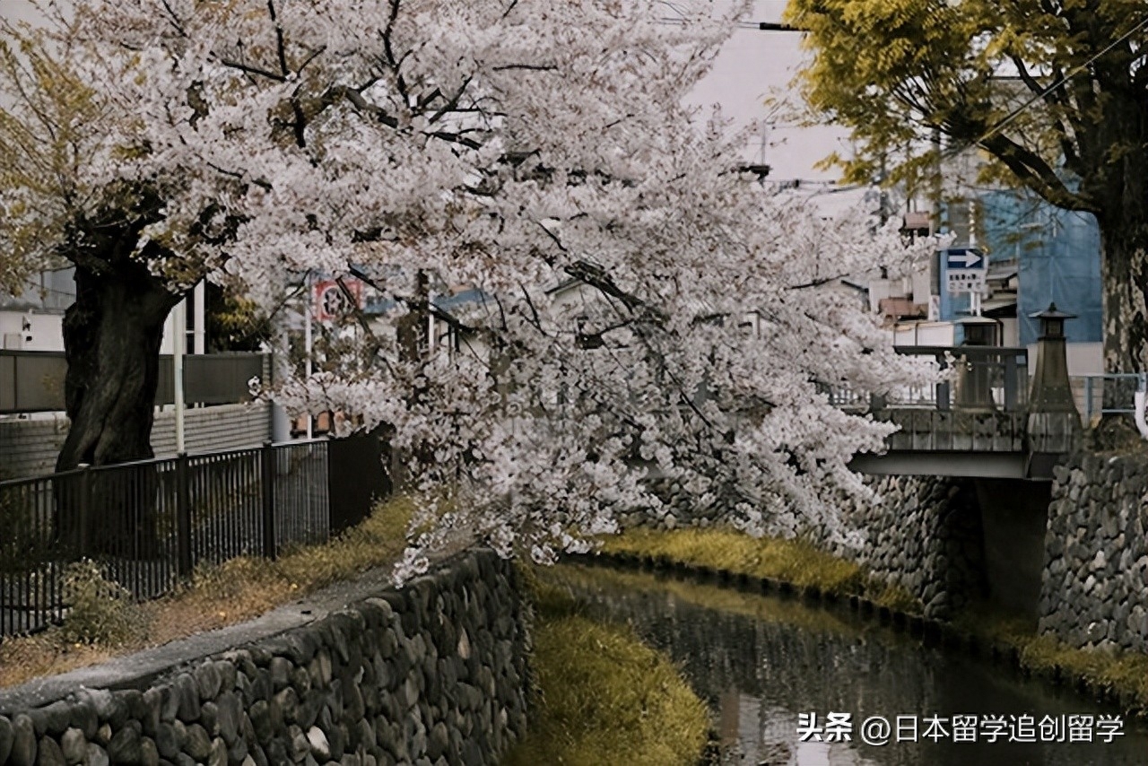 日本考研留学需要什么条件,本科生去日本考研的四种途径及优缺点分析(图5)