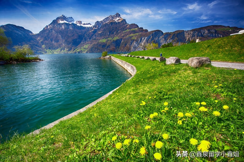 瑞士留学学费多少,瑞士留学一年的花费参考(图1)