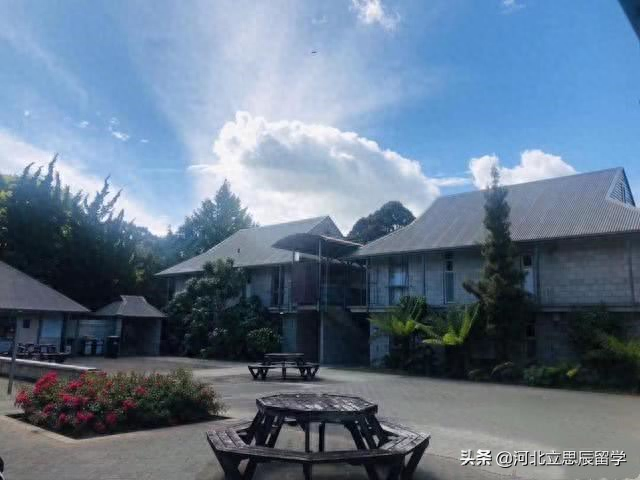 新西兰留学签证需要的材料,新西兰留学办理签证准备材料全篇攻略(图1)