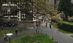 新西兰留学必备条件，留学新西兰必须具备的条件汇总