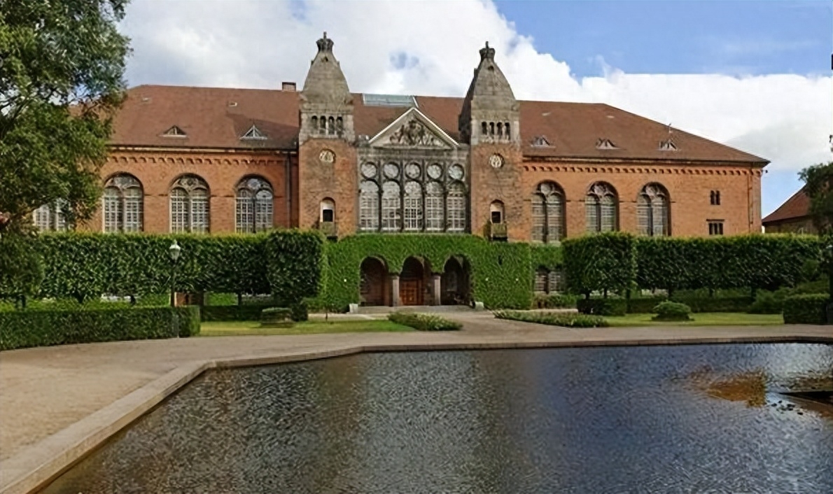 留学丹麦怎样申请签证,一文说清丹麦留学签证申请流程与细节(图5)